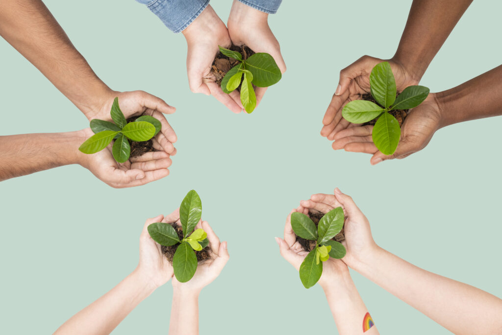 sustentabilidade